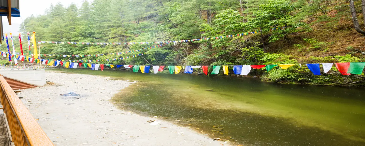 Scenic Surroundings of Green Rivulet